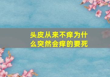 头皮从来不痒为什么突然会痒的要死