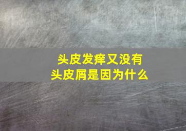 头皮发痒又没有头皮屑是因为什么