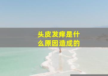 头皮发痒是什么原因造成的