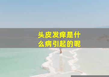 头皮发痒是什么病引起的呢