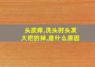 头皮痒,洗头时头发大把的掉,是什么原因