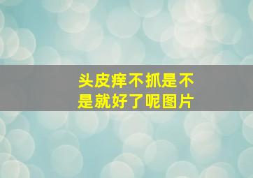 头皮痒不抓是不是就好了呢图片