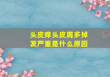 头皮痒头皮屑多掉发严重是什么原因