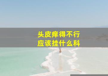 头皮痒得不行应该挂什么科