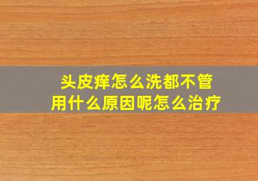 头皮痒怎么洗都不管用什么原因呢怎么治疗