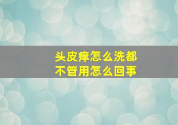 头皮痒怎么洗都不管用怎么回事