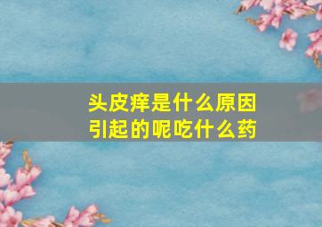 头皮痒是什么原因引起的呢吃什么药