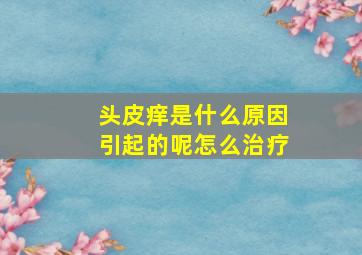 头皮痒是什么原因引起的呢怎么治疗