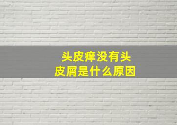 头皮痒没有头皮屑是什么原因