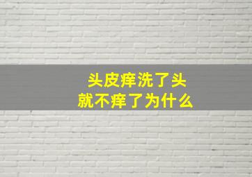 头皮痒洗了头就不痒了为什么