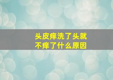 头皮痒洗了头就不痒了什么原因