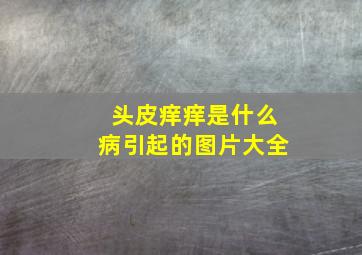 头皮痒痒是什么病引起的图片大全