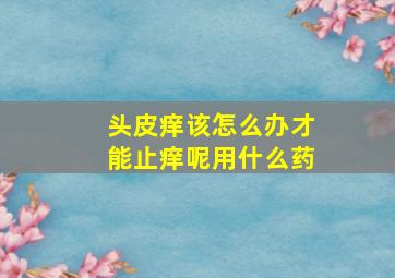 头皮痒该怎么办才能止痒呢用什么药