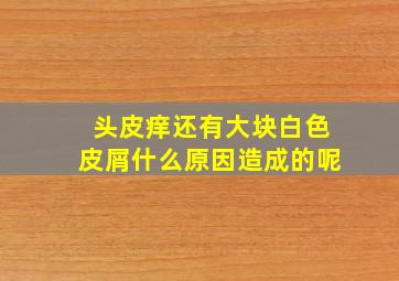 头皮痒还有大块白色皮屑什么原因造成的呢