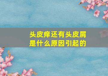 头皮痒还有头皮屑是什么原因引起的