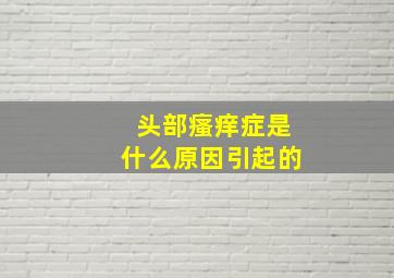 头部瘙痒症是什么原因引起的