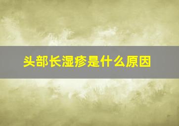 头部长湿疹是什么原因