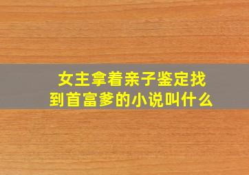 女主拿着亲子鉴定找到首富爹的小说叫什么