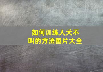 如何训练人犬不叫的方法图片大全