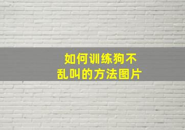 如何训练狗不乱叫的方法图片