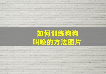 如何训练狗狗叫唤的方法图片