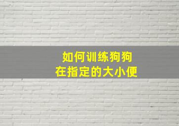 如何训练狗狗在指定的大小便