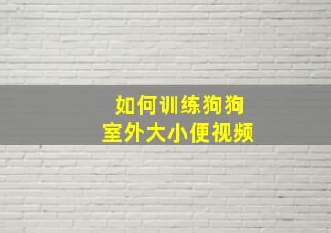 如何训练狗狗室外大小便视频