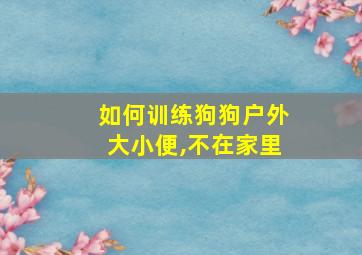 如何训练狗狗户外大小便,不在家里