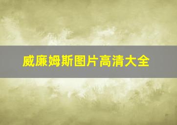 威廉姆斯图片高清大全