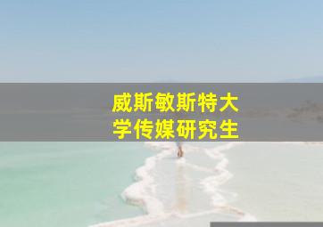 威斯敏斯特大学传媒研究生