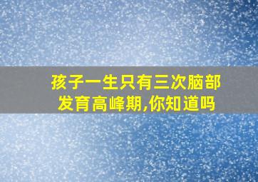 孩子一生只有三次脑部发育高峰期,你知道吗