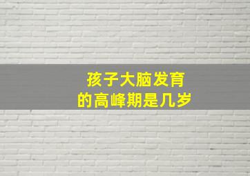 孩子大脑发育的高峰期是几岁