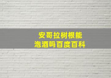 安哥拉树根能泡酒吗百度百科