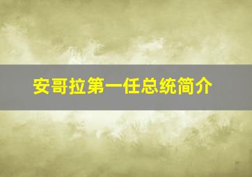 安哥拉第一任总统简介