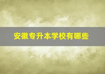 安徽专升本学校有哪些