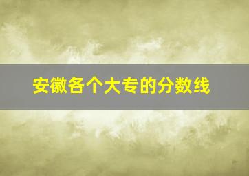 安徽各个大专的分数线