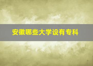 安徽哪些大学设有专科