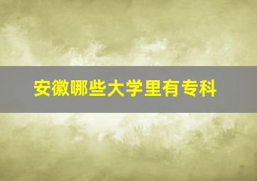 安徽哪些大学里有专科