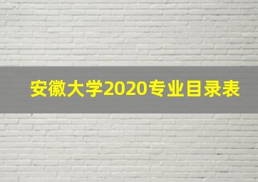 安徽大学2020专业目录表