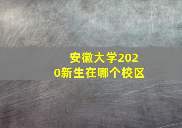 安徽大学2020新生在哪个校区