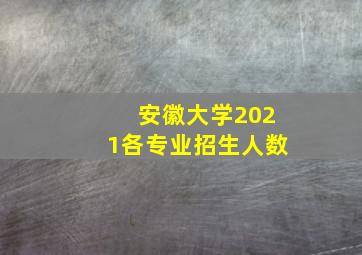 安徽大学2021各专业招生人数