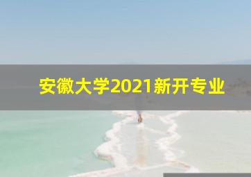 安徽大学2021新开专业