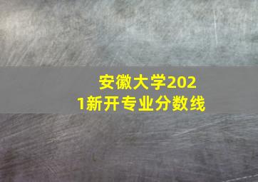 安徽大学2021新开专业分数线