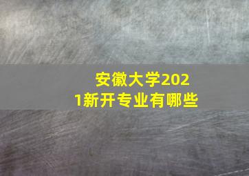 安徽大学2021新开专业有哪些