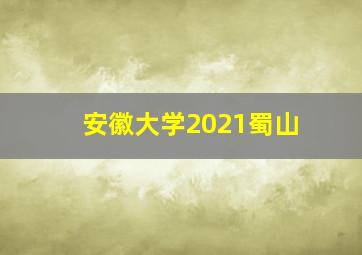 安徽大学2021蜀山