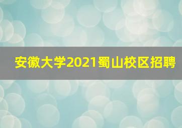 安徽大学2021蜀山校区招聘