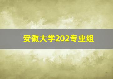 安徽大学202专业组