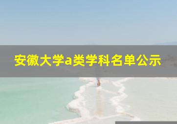 安徽大学a类学科名单公示