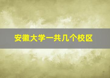 安徽大学一共几个校区