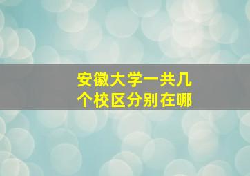 安徽大学一共几个校区分别在哪